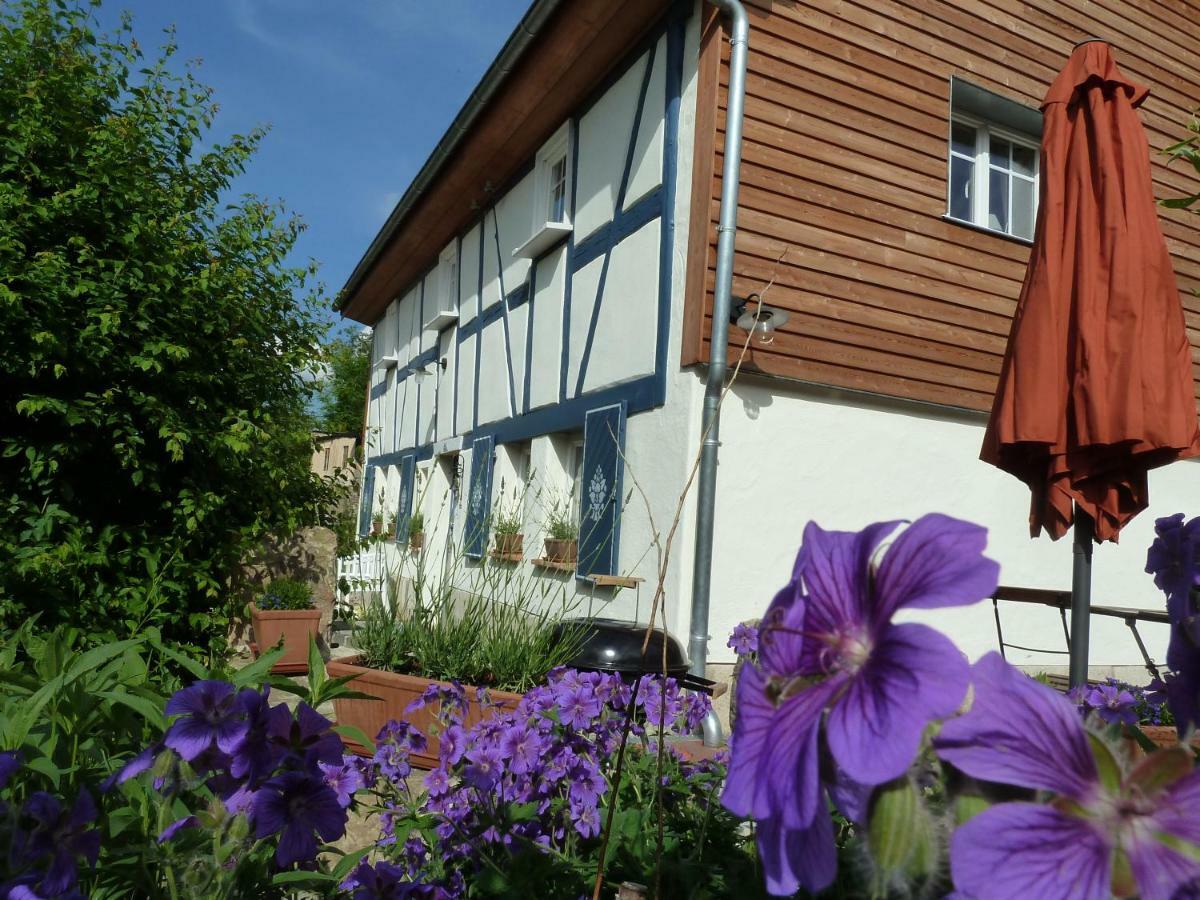 Goldbachhaeuschen Villa Olbersdorf Kültér fotó